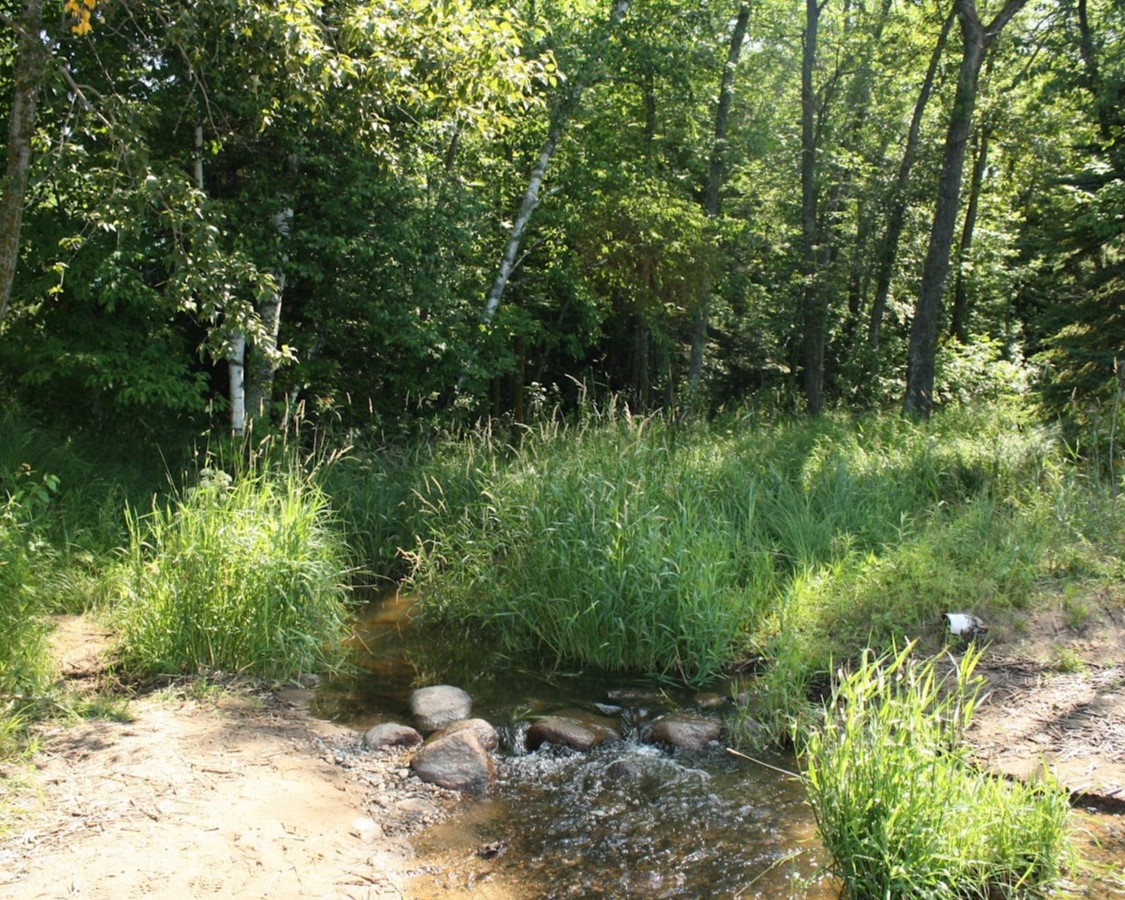 A creek bed